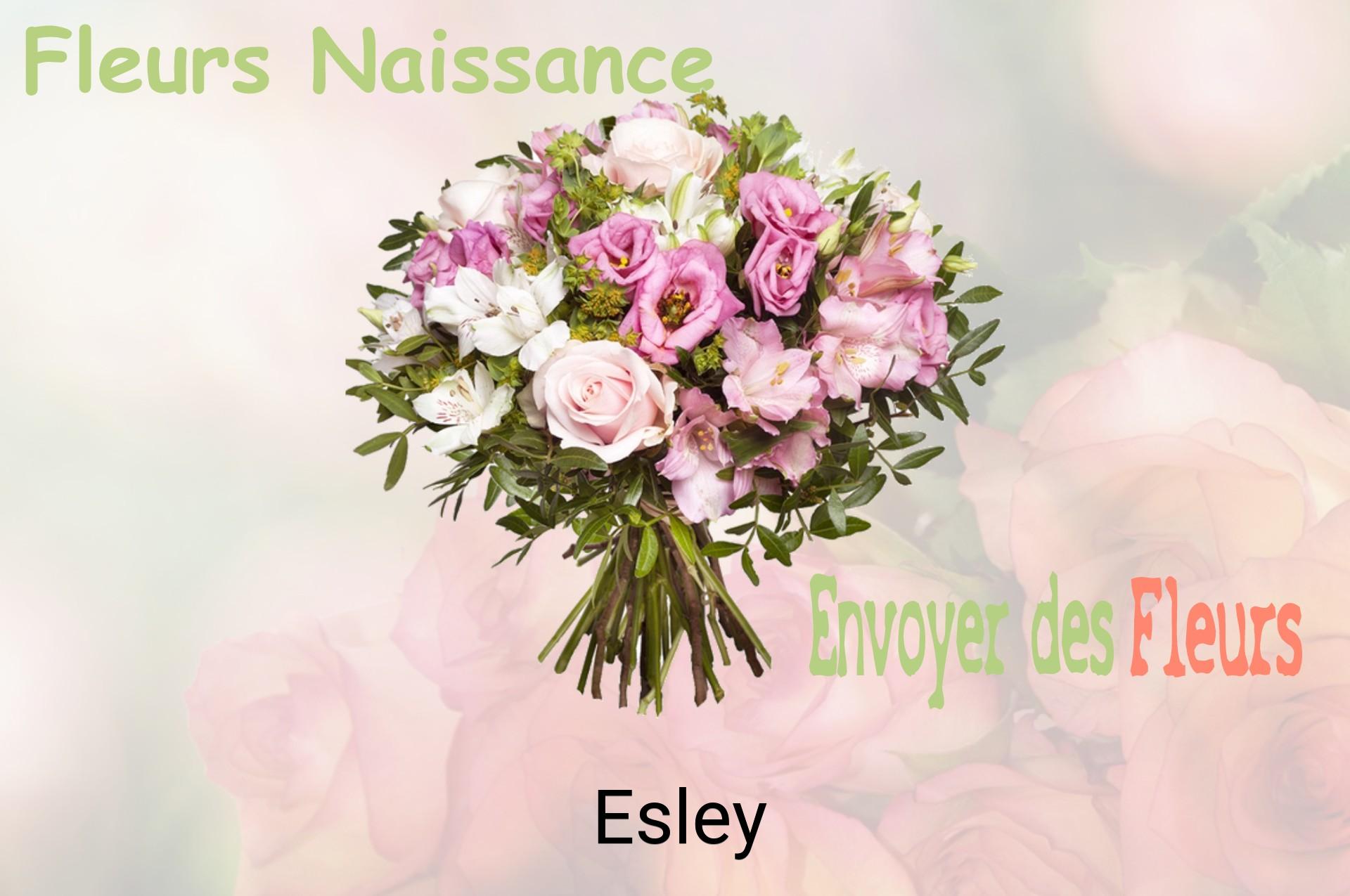 Bouquet de fleurs de naissance livré à Esley