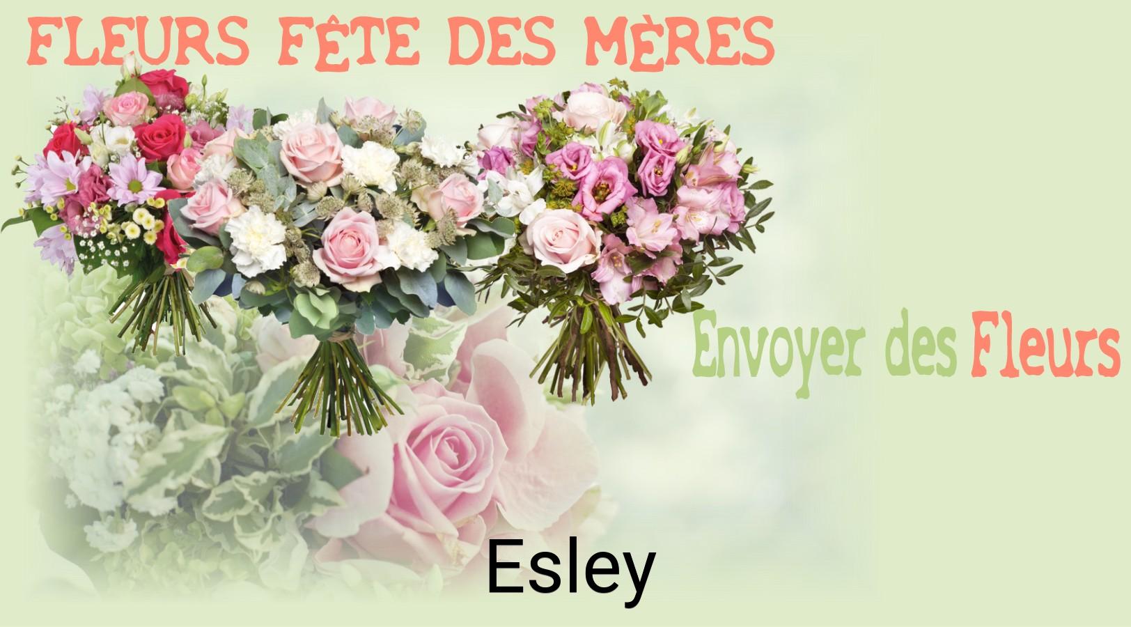 Bouquet de Fête des Mères livré à Esley